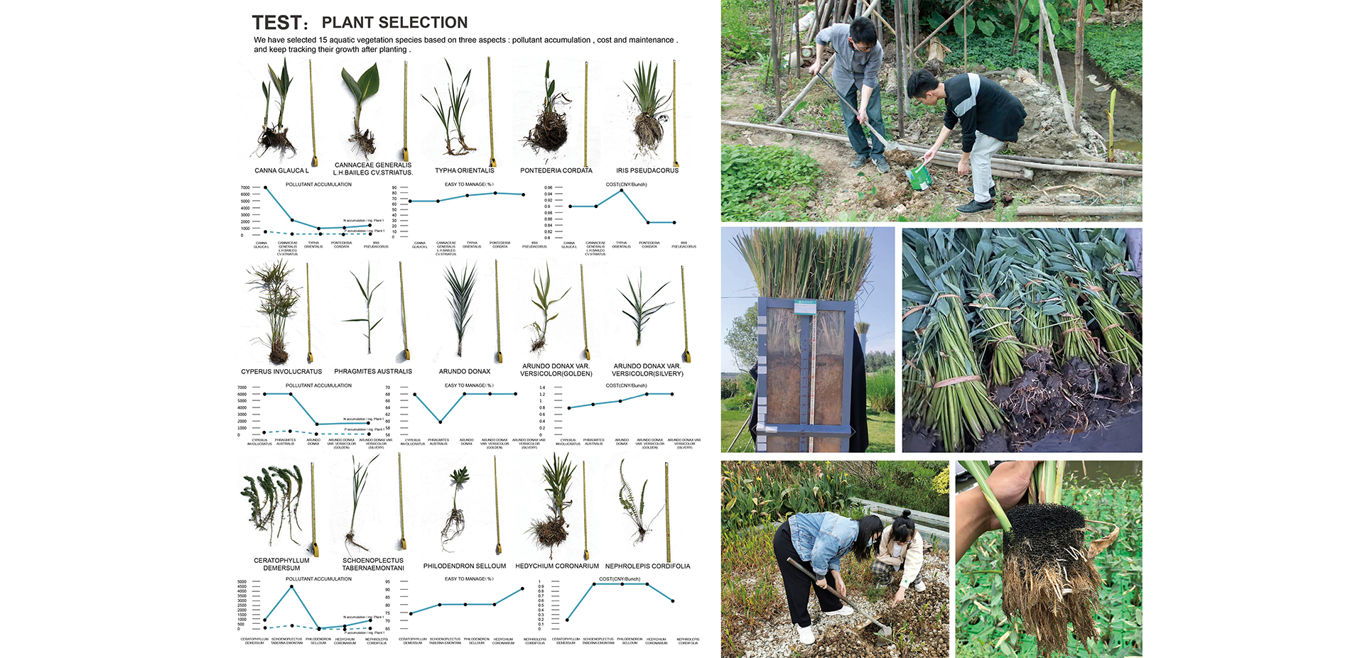 Test: Plant selection